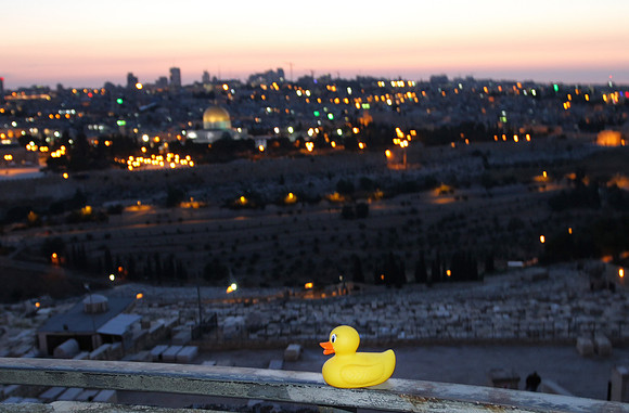 Yellow Duck watches the sunset in Jerusalem