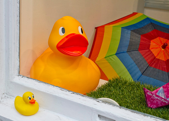 Yellow Duck meets bigger Duck at JoJo Maman Bebe